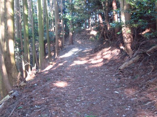 林道